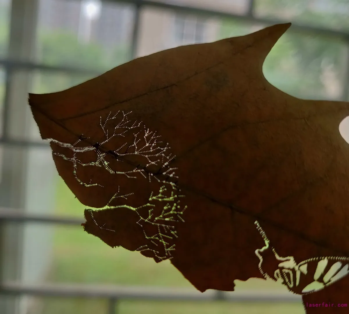 Was können Faserlaser maschinen?